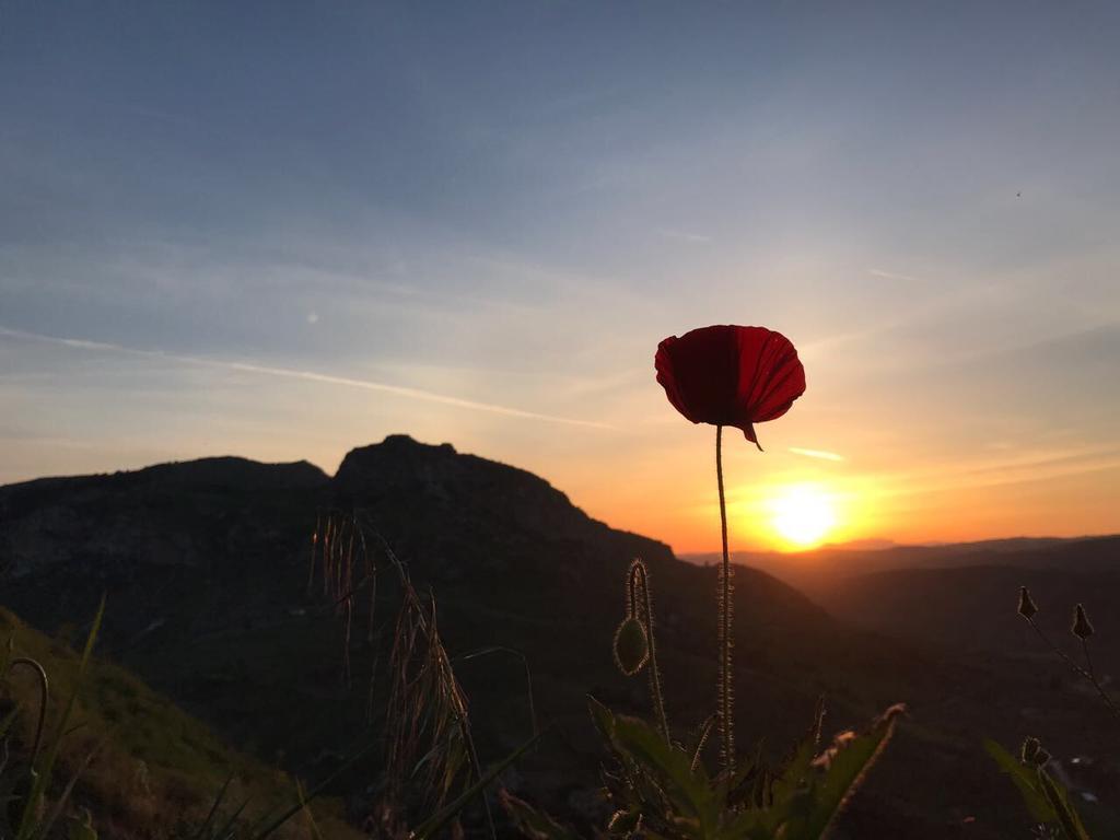 Agriturismo Tenuta San Giovanni Casale Leto SantʼAngelo Muxaro Dış mekan fotoğraf